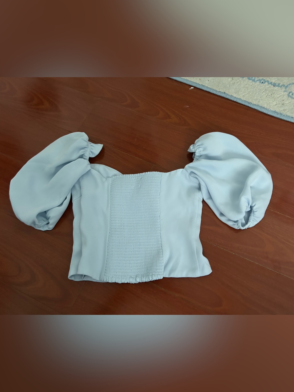Wilfred Aritzia Light Blue Puff Sleeve Smocked Front Blouse Novella Top